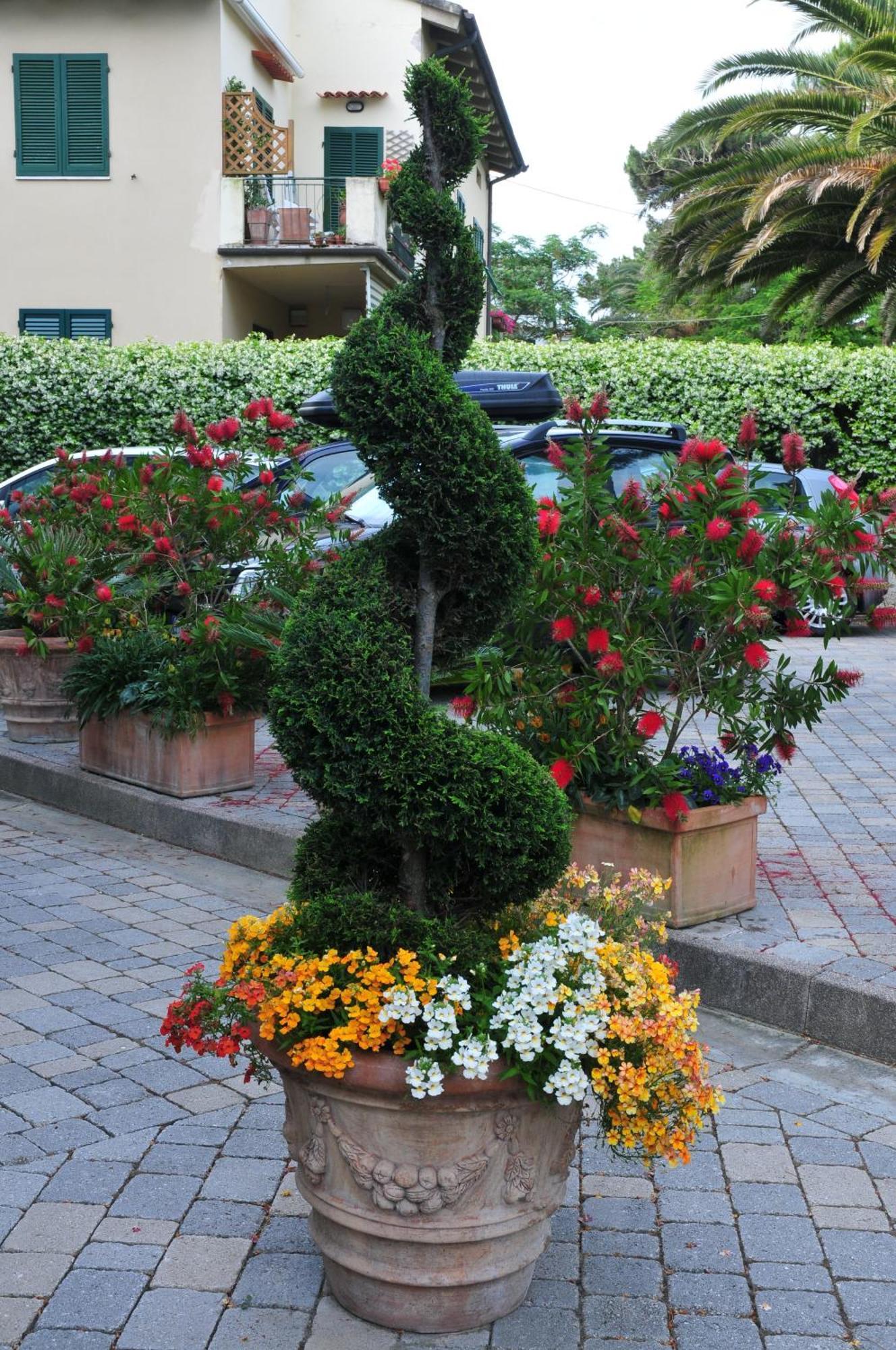 Hotel Riviera Blu Tirrenia Buitenkant foto